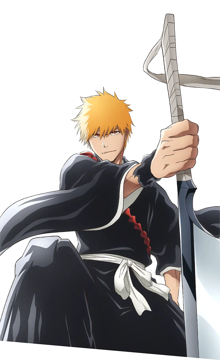 BLEACH FES